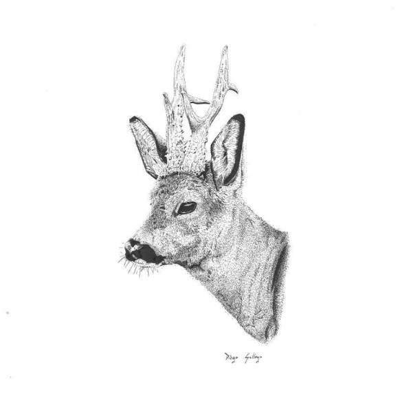 CABEZA-CORZO-VENDIDO