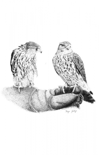 PAREJA-ESMEREJONES-VENDIDO