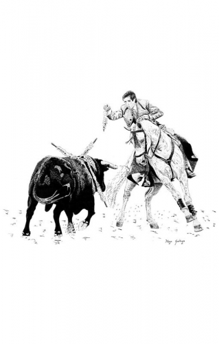 TOROS Y CABALLOS